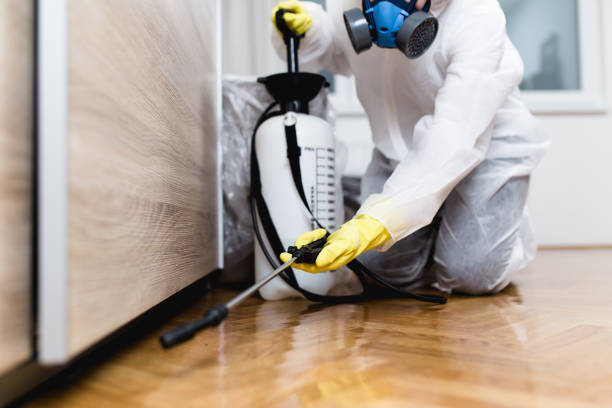 Best Mosquito Control Services  in Lyons, NJ