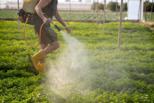 Best Pest Removal Services  in Lyons, NJ