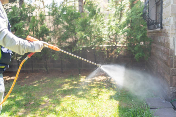 Best Insect Control  in Lyons, NJ