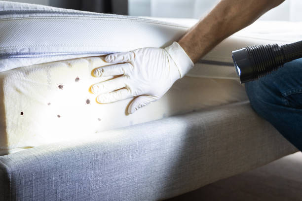 Best Best Pest Control Companies  in Lyons, NJ