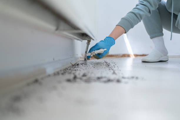Best Flea Control Services  in Lyons, NJ